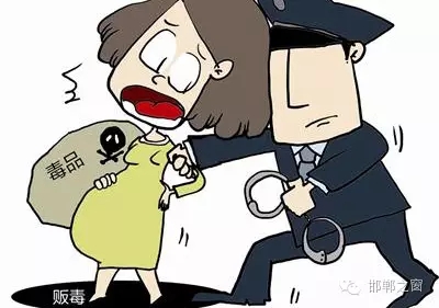 2016年初，涉縣警方查獲一起涉毒案件，鑒于該案涉案人員多、毒品交易量大，涉縣警方立即將案情上報(bào)，被公安部確立為“目標(biāo)-2016-314”號(hào)毒品案件。涉縣警方成立專案組，經(jīng)過(guò)多方追查，先后抓獲團(tuán)伙人員13名，繳獲毒品5349克，并查明上線“濮姐”的真實(shí)身份為陳某。